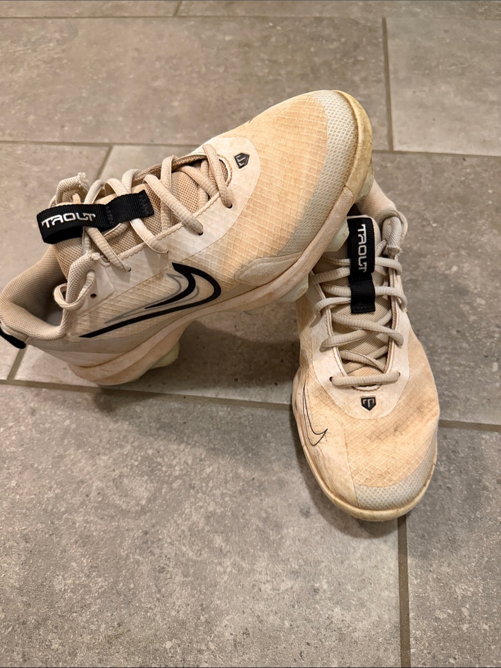 Nike Youth “Trout” Baseball Cleats with Black Swoosh